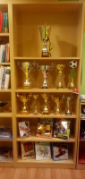 Näi­tus „Moe poiste jalg­pal­li­klubi FC Moe tege­mised vii­ma­sel kahel aas­tal”