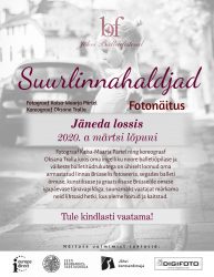 Näitus "Suurlinnahaldjad" - plakat